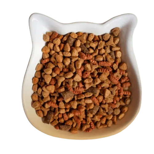 غذا خشک گربه ممدپت